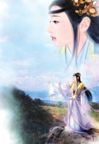 穆桂英徵南