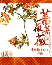 蔷薇蔷薇