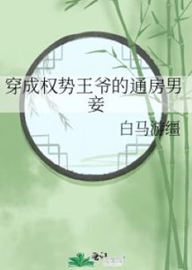 穿成权势王爷的通房男妾
